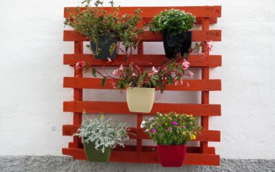 wooden pallets holding plants