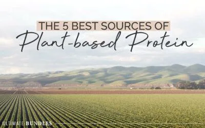 The 5 Best Sources of Plant-based Protein